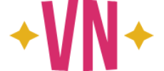 VN logo